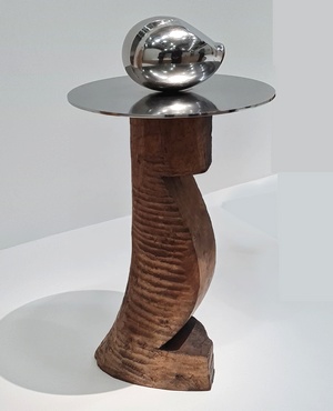 Constantin Brancusi artiste